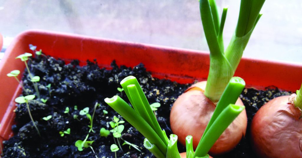 10 ways to save this spring