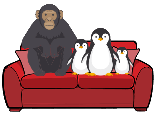 Animals sitting on sofa