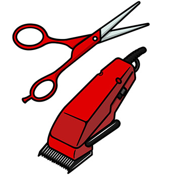 Scissors and hair clippers