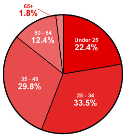 BNPL Breakdown Pie Chart