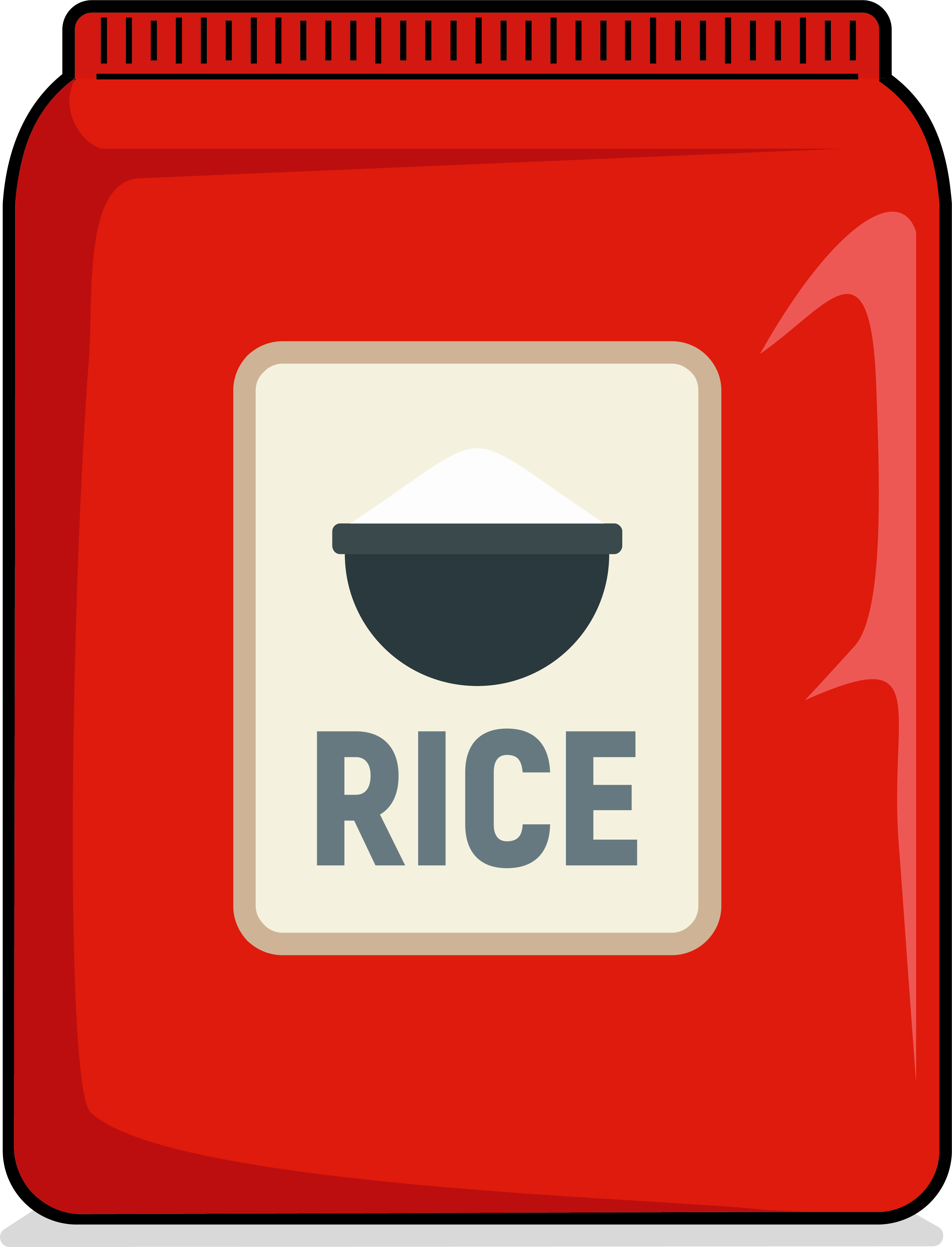 Bag of Rice