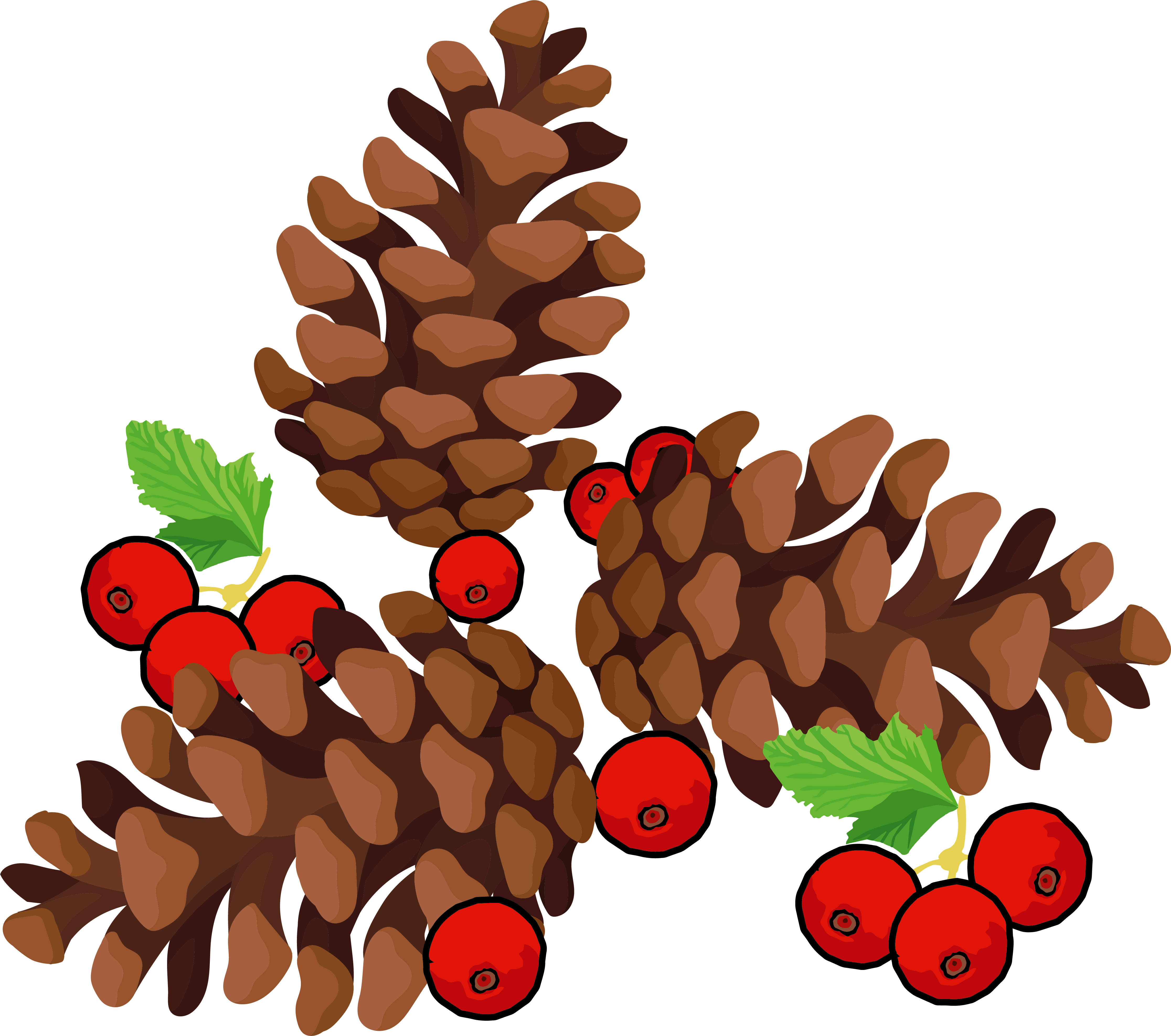 Pinecones and berries